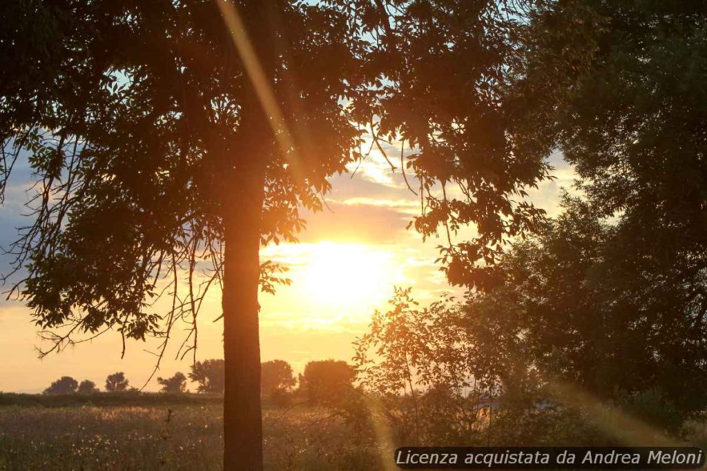 previsione-meteo-tortoli:-giornate-serene-in-arrivo