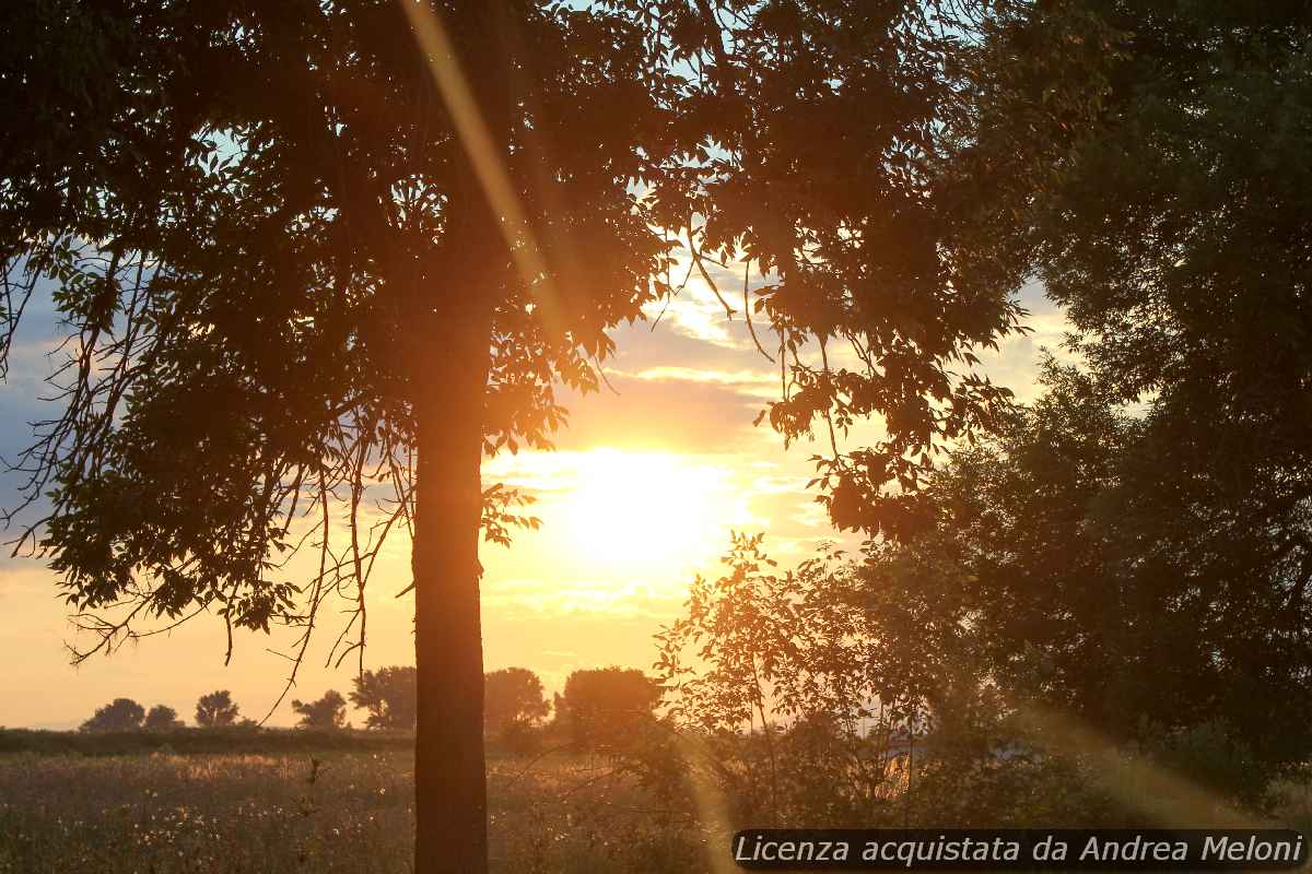 29771 previsione meteo tortoli giornate serene in arrivo - Previsione meteo Tortolì: giornate serene in arrivo