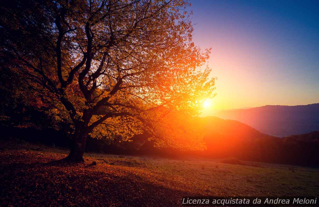 30007 previsione meteo tempio pausania pioggia e vento in arrivo poi schiarite - Previsione meteo Tempio Pausania: pioggia e vento in arrivo, poi schiarite