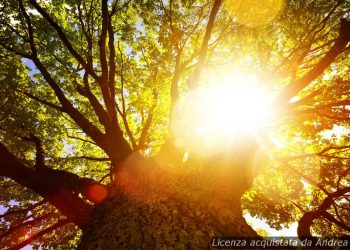 previsione-meteo-tempio-pausania:-sole,-vento-e-pioggia-in-arrivo