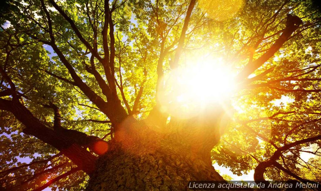 meteo-tortoli:-oggi-sole,-domani-nuvole-in-arrivo