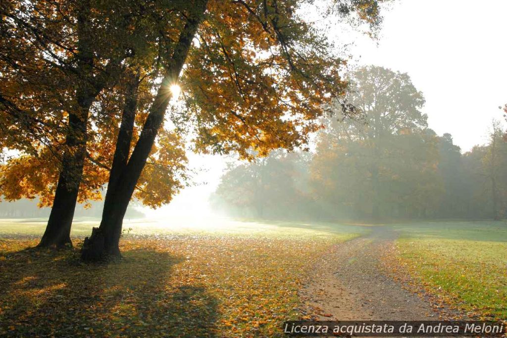 previsione-meteo-lanusei:-sereno-con-vento-e-nubi-sparse-in-arrivo