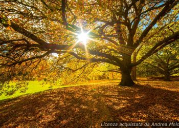 meteo-oristano:-domani-cielo-limpido,-sole-splendente-per-tutto-il-weekend