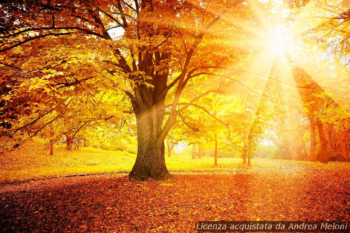 31701 meteo iglesias giornate soleggiate in arrivo godetevi il bel tempo - Meteo Iglesias: giornate soleggiate in arrivo, godetevi il bel tempo!