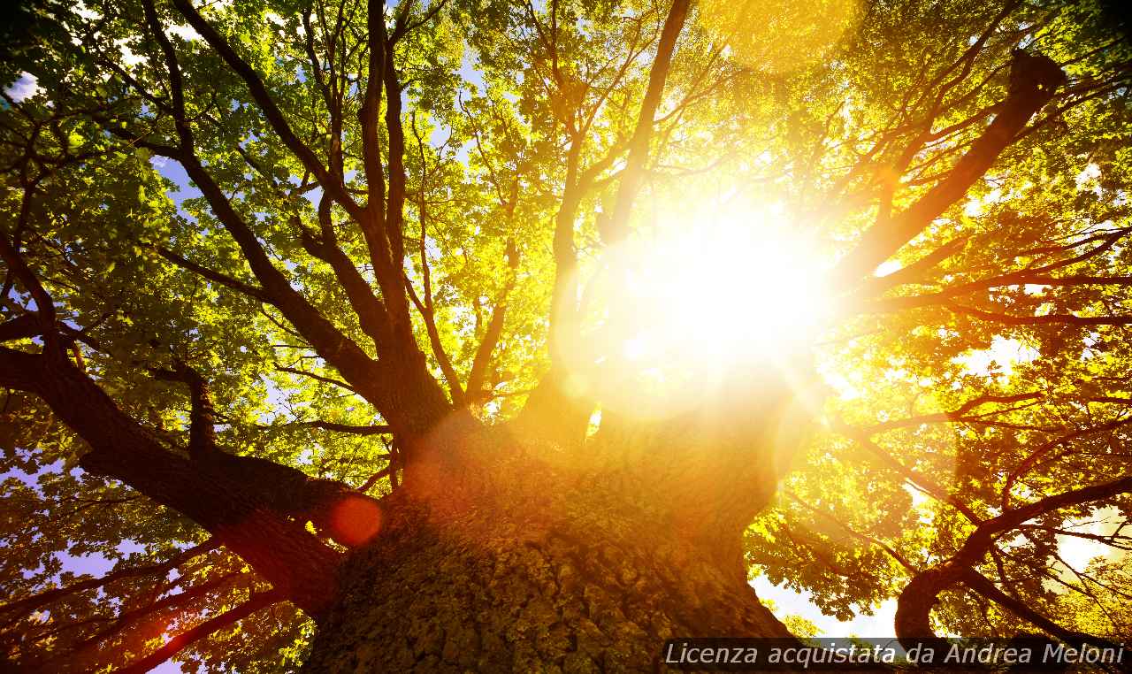 31841 meteo villacidro sole splendente per i prossimi giorni - Meteo Villacidro: sole splendente per i prossimi giorni