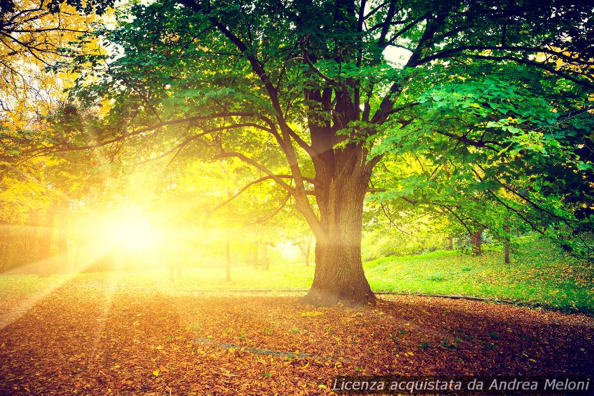 31847 meteo villacidro domani cielo limpido sole splendente per tutto il weekend - Meteo Villacidro: domani cielo limpido, sole splendente per tutto il weekend