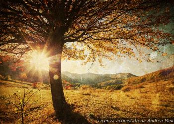 meteo-tortoli:-oggi-cielo-limpido,-prossimi-giorni-leggermente-nuvolosi