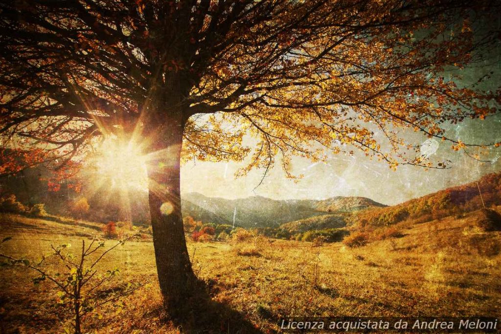 previsioni-meteo-tempio-pausania:-giornate-serene-in-arrivo