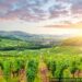 meteo-lanusei:-oggi-nuvole,-domani-pioggia!