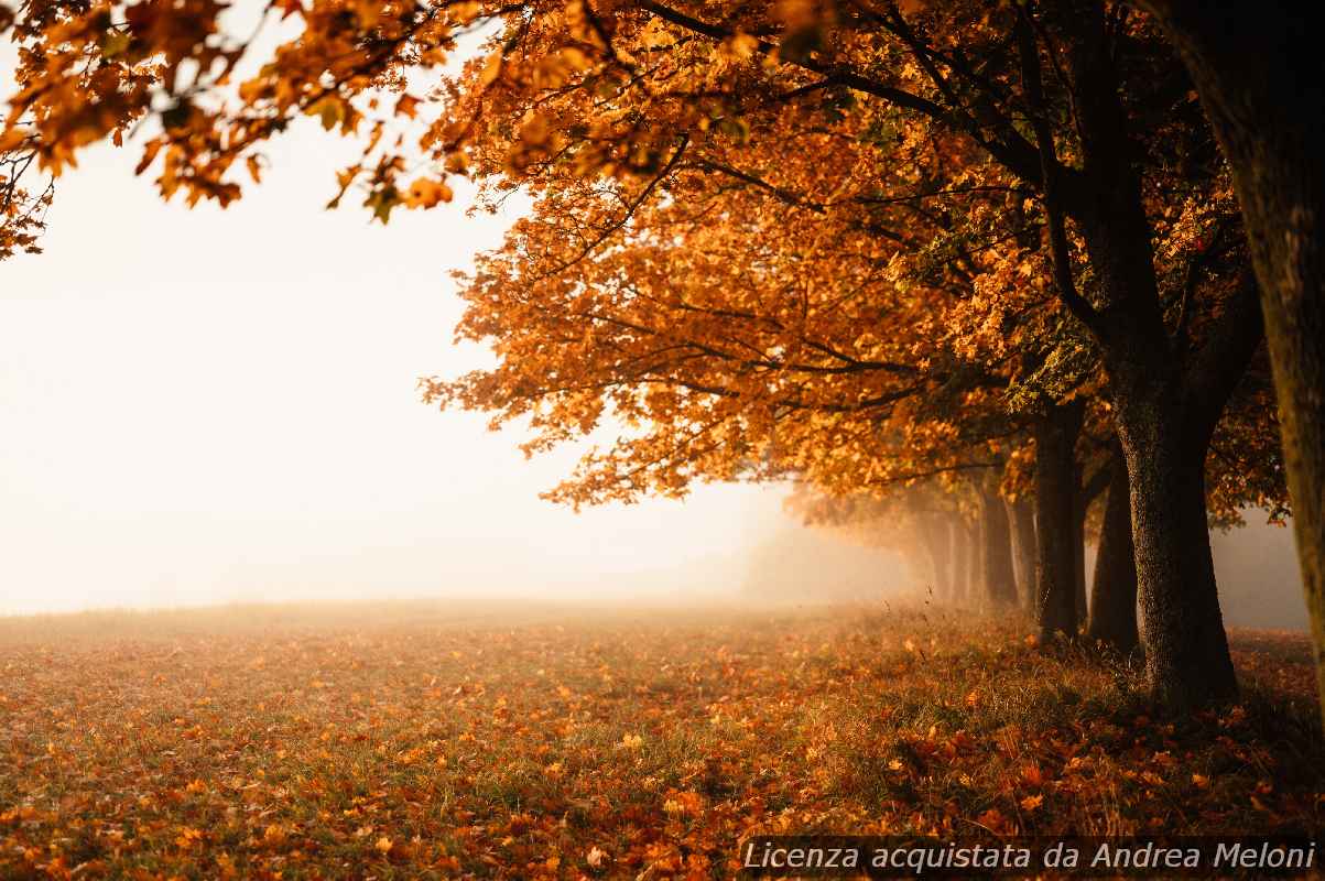 34391 previsioni meteo lanusei giornate ventose con schiarite in arrivo - Previsioni meteo Lanusei: giornate ventose con schiarite in arrivo