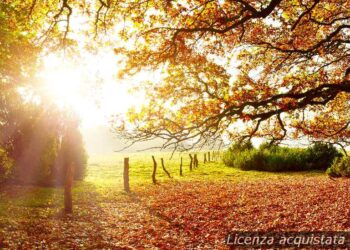 meteo-nuoro:-domani-sole-e-vento,-poi-cielo-limpido