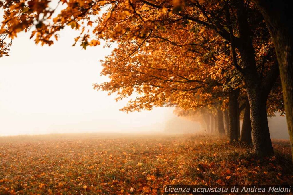 previsioni-meteo-tortoli:-giornate-serene-in-arrivo