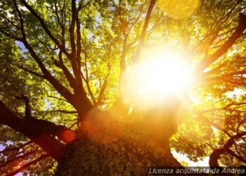 meteo-lanusei:-sole-splendente-per-i-prossimi-giorni