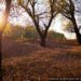 meteo-lanusei:-sole-e-vento-nei-prossimi-giorni,-temperature-in-aumento