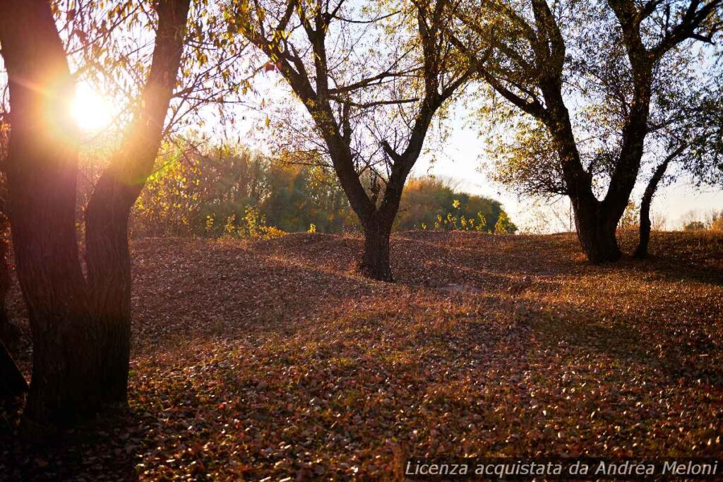 e-possibili-piogge-nel-weekend