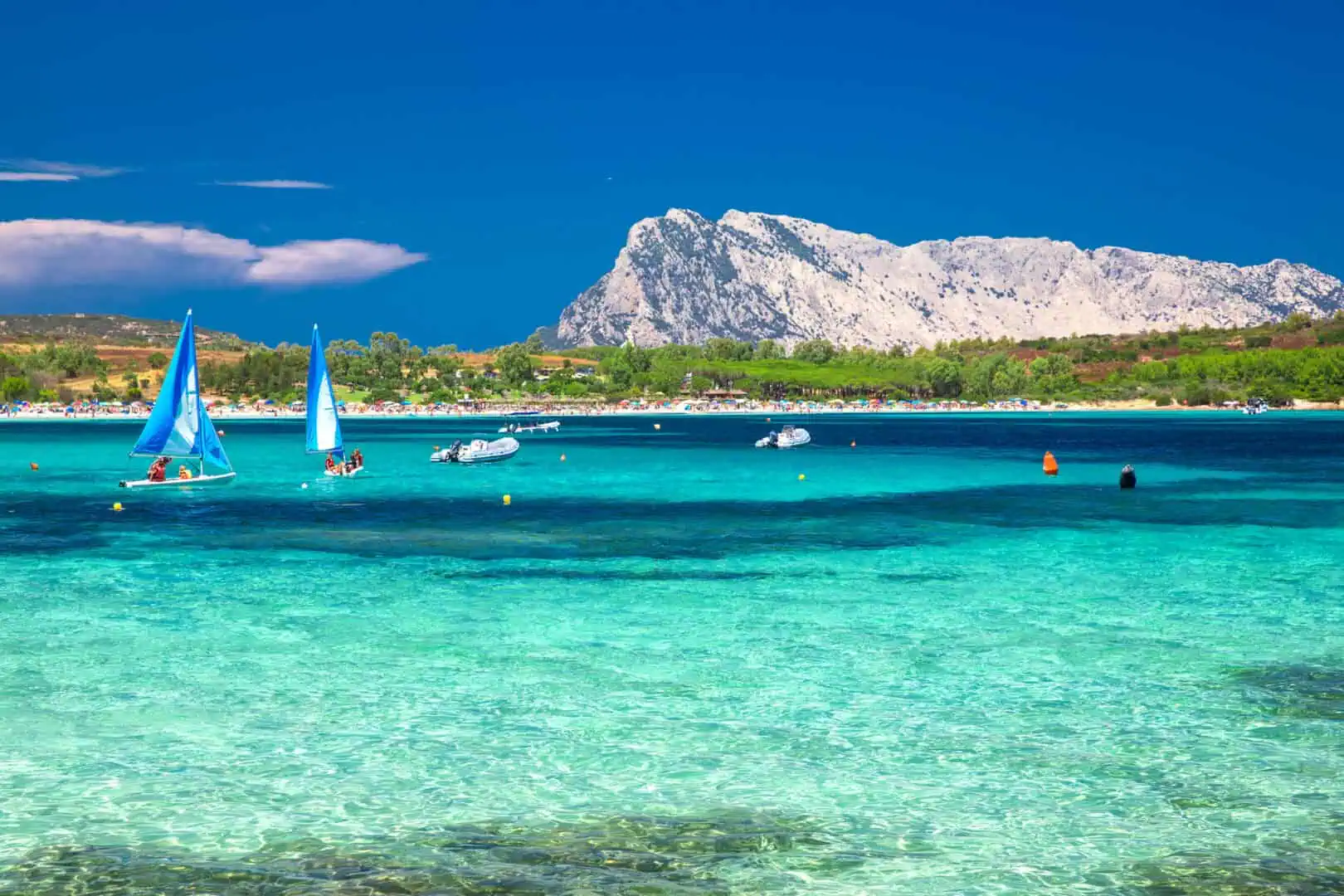 dreamstime m 104019922 1620x1080 - Viaggi a Cala Brandinchi: una perla della Sardegna tra acque cristalline e sabbia bianca