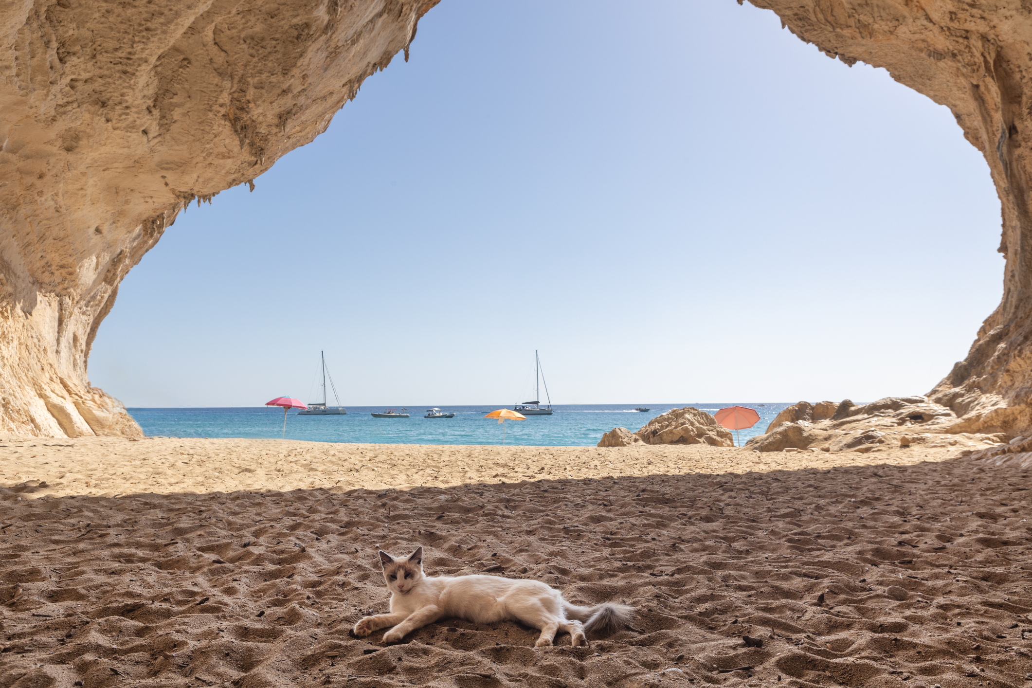 dreamstime m 329351896 - Viaggi a Cala Luna: esplorazione tra grotte, mare e natura incontaminata