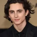 Timothée Chalamet channels Dylan in ‘subterranean homesick blues