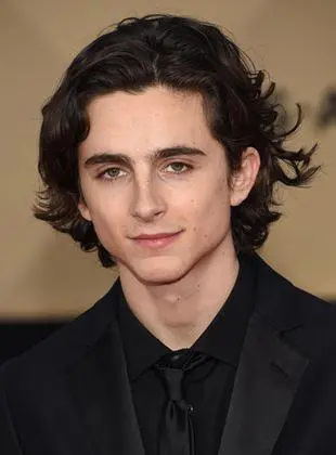 Timothée Chalamet channels Dylan in ‘subterranean homesick blues