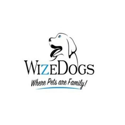 WizeDogs Labradors a..