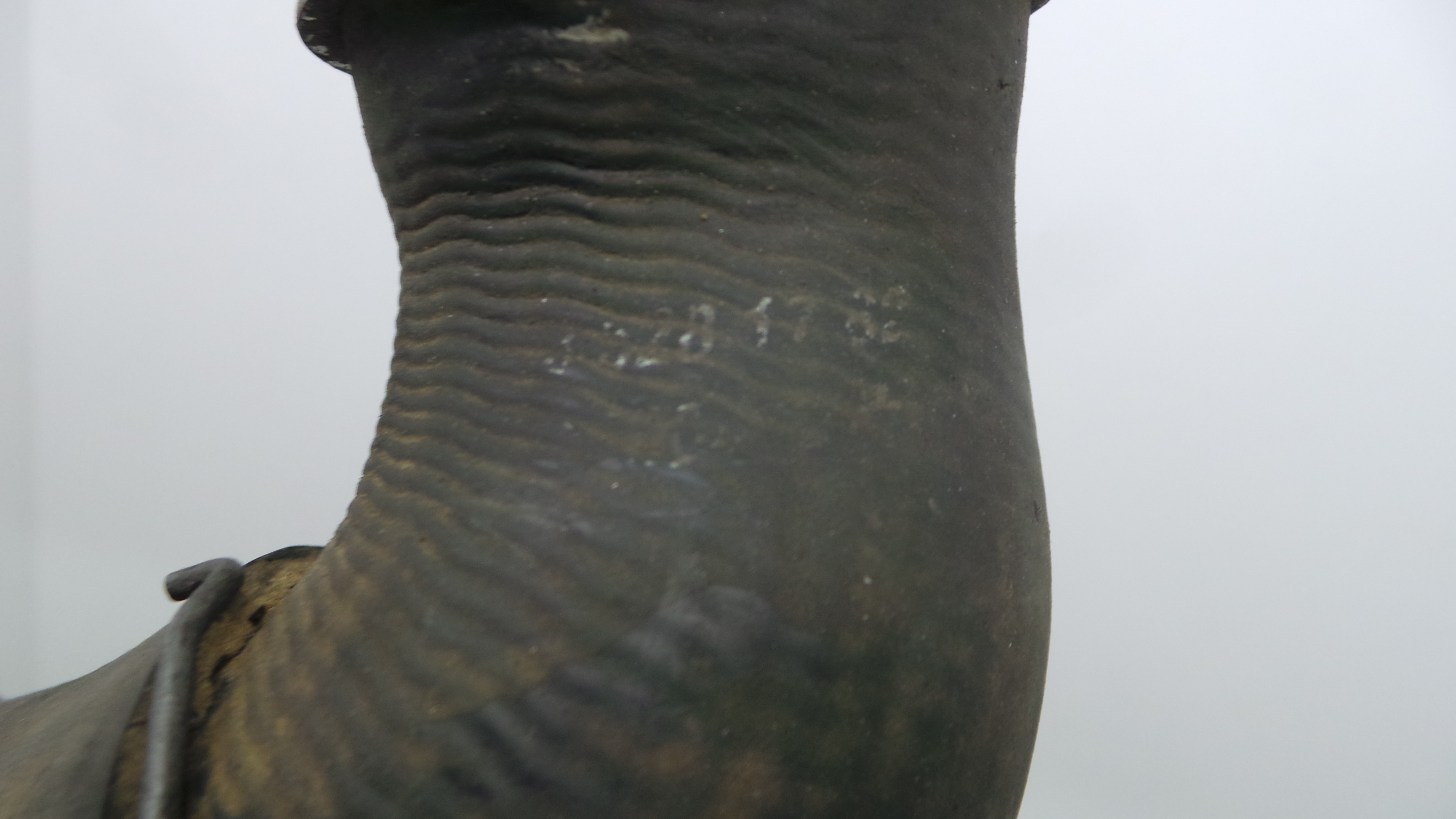 Tubo Intercooler A2033281782 - MERCEDES-BENZ C-CLASS (W203)-33191593