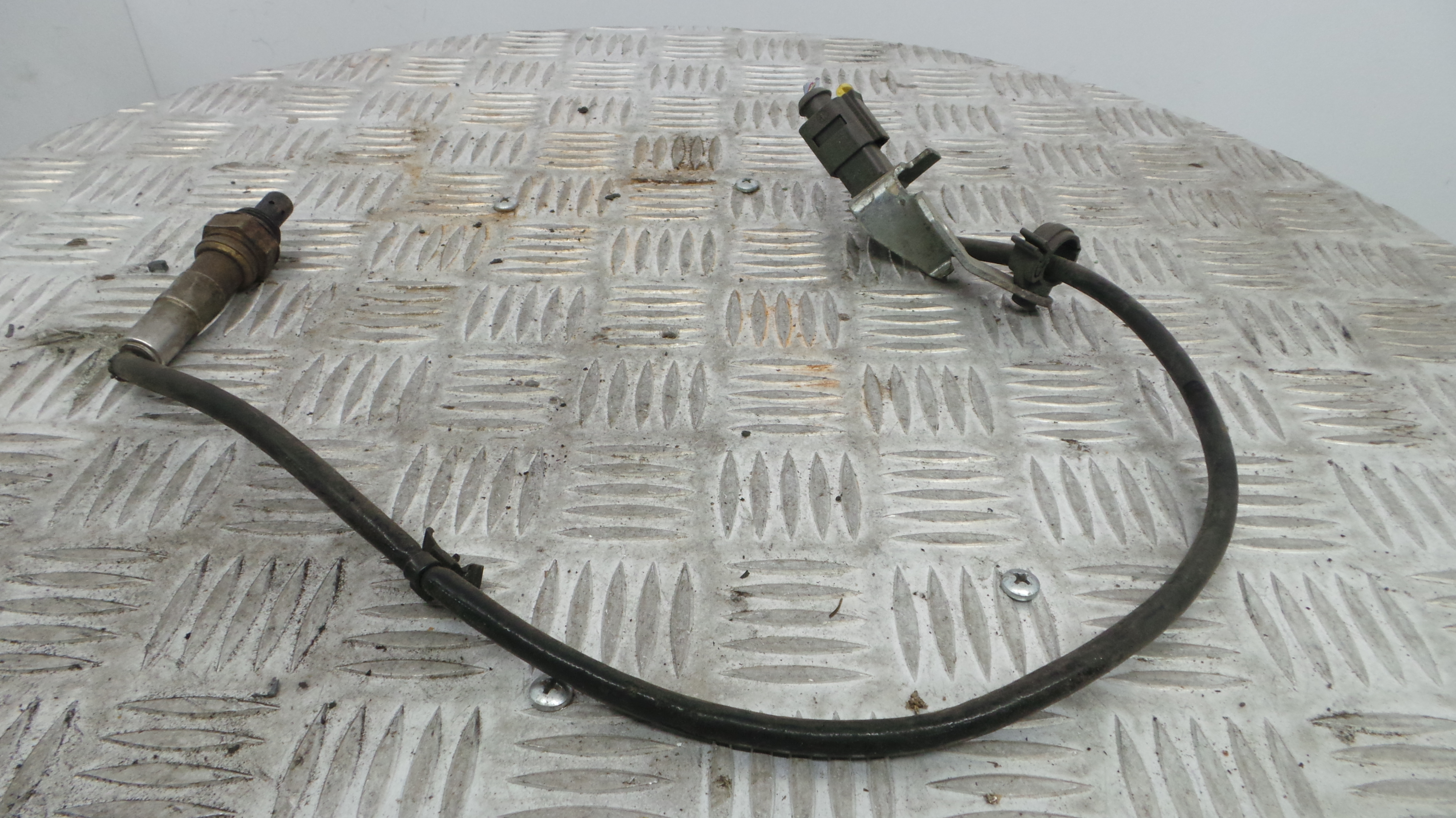 Sonda Lambda 55191127 - FIAT GRANDE PUNTO (199_)-33378148