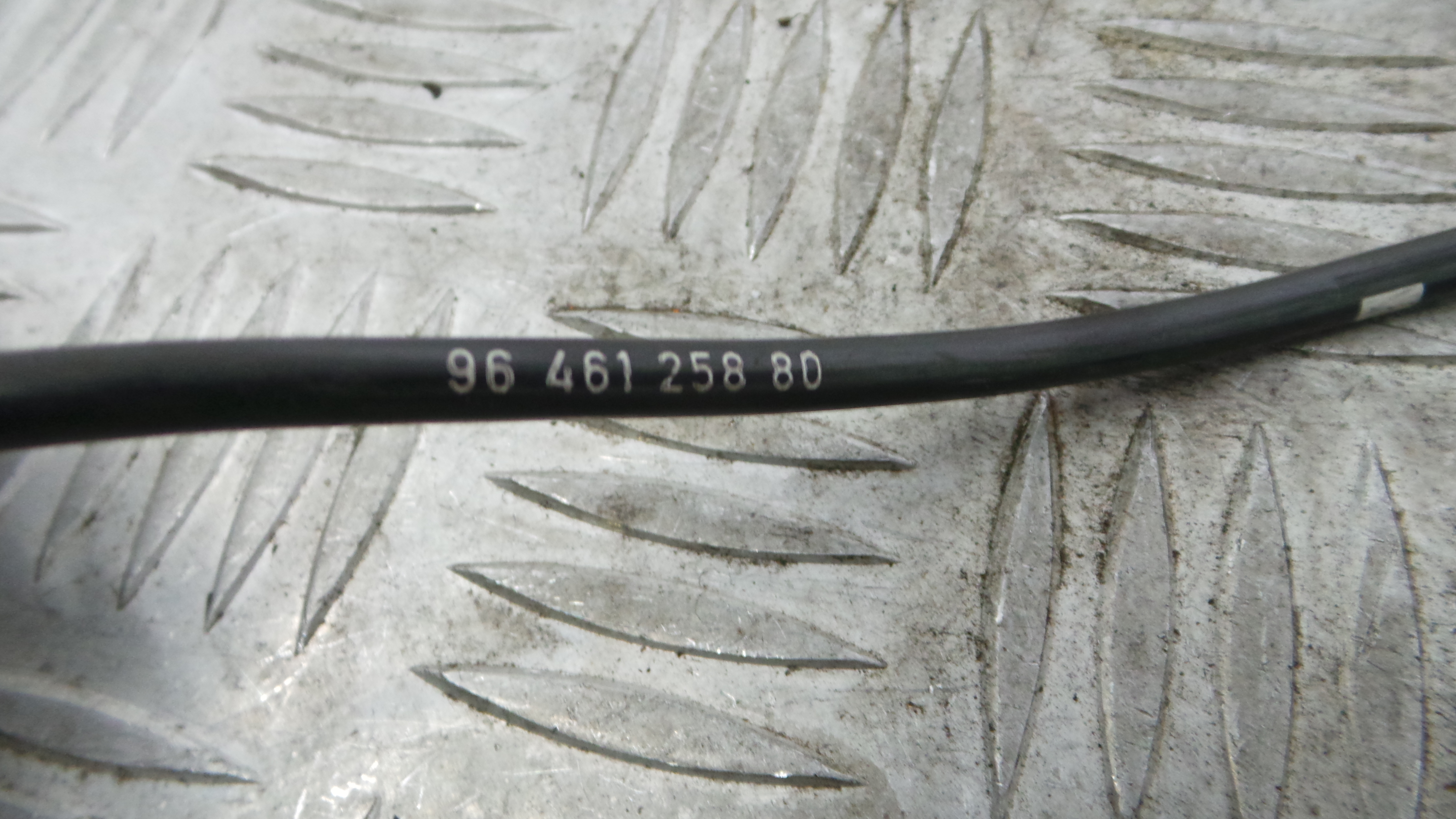 Sensor Abs 9646125880 - PEUGEOT 307 (3A/C)-36897272