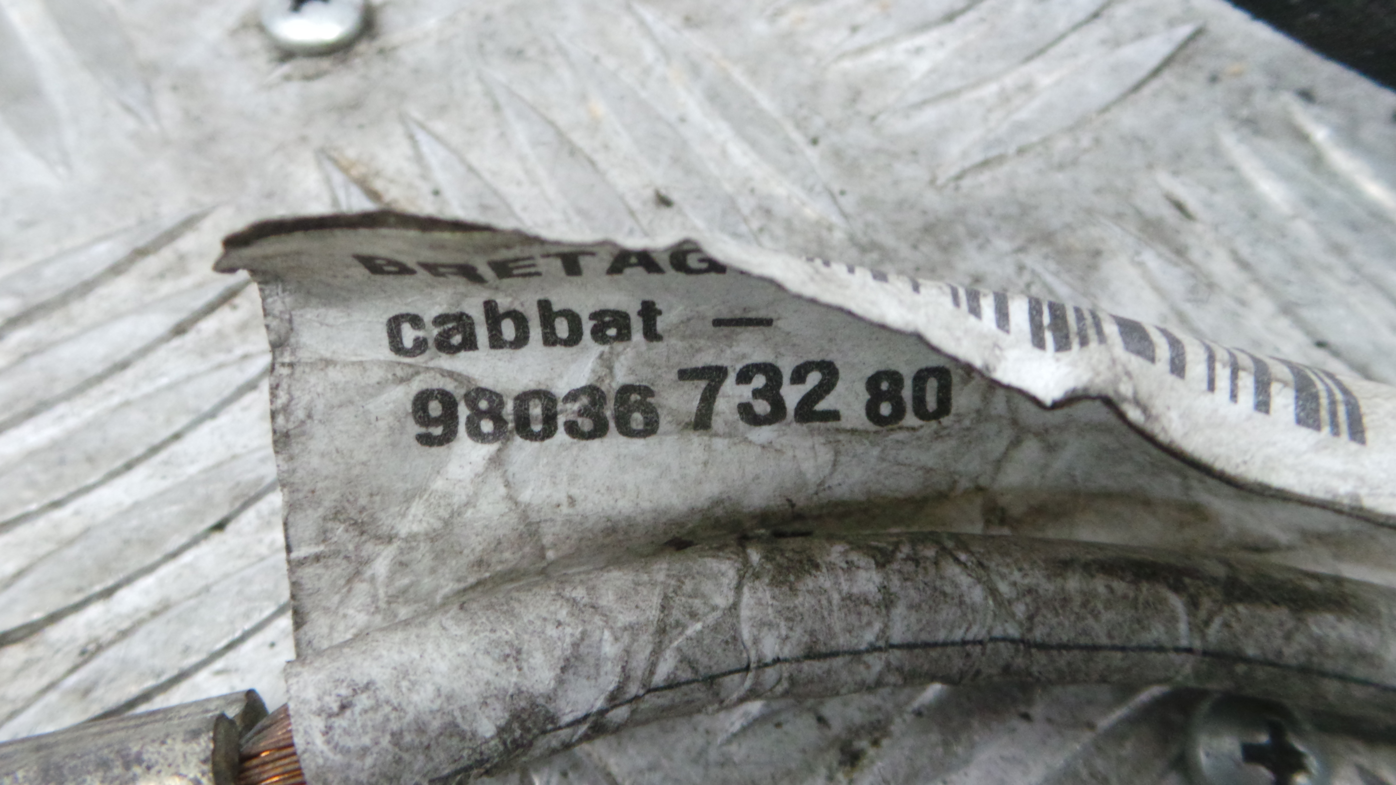 Cabos de bateria 9678116380 - CITROËN C3 II (SC_)-36912524