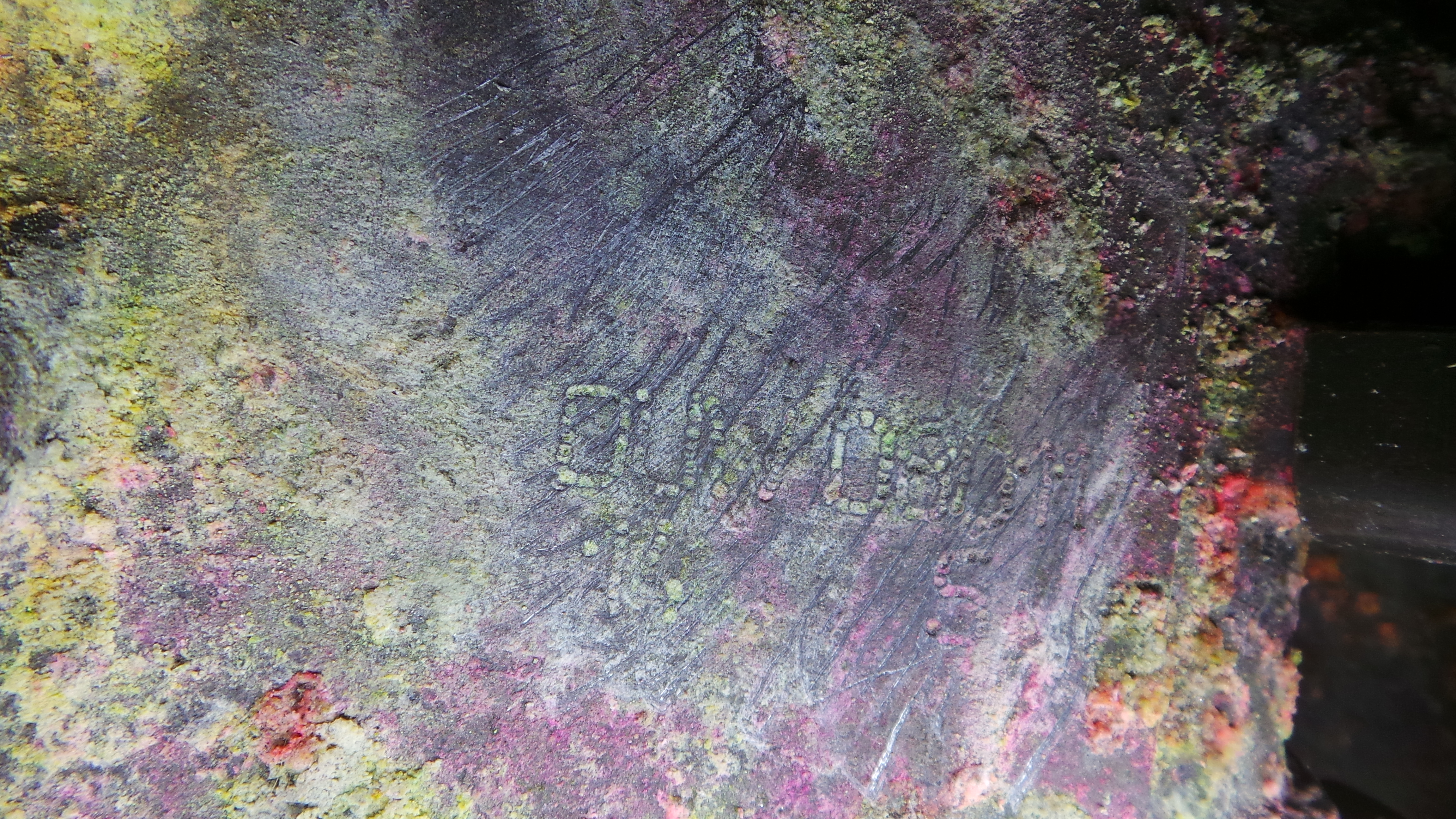 Caixa Velocidades Manual DUW - VW GOLF IV (1J1), GOLF Mk IV (1J1)-37074040