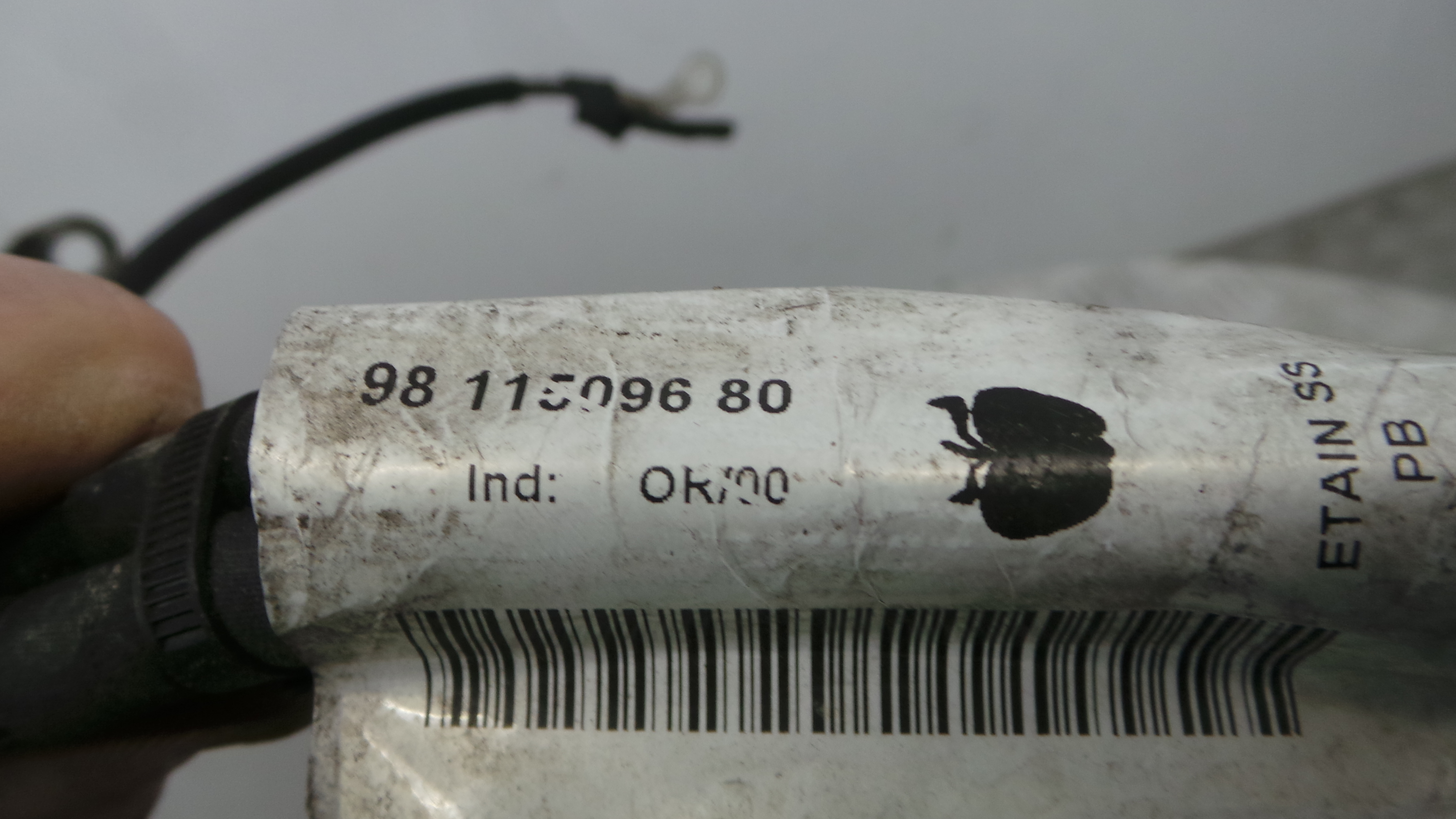 Cabos de bateria 9810829680 - CITROËN C4 CACTUS-38062510