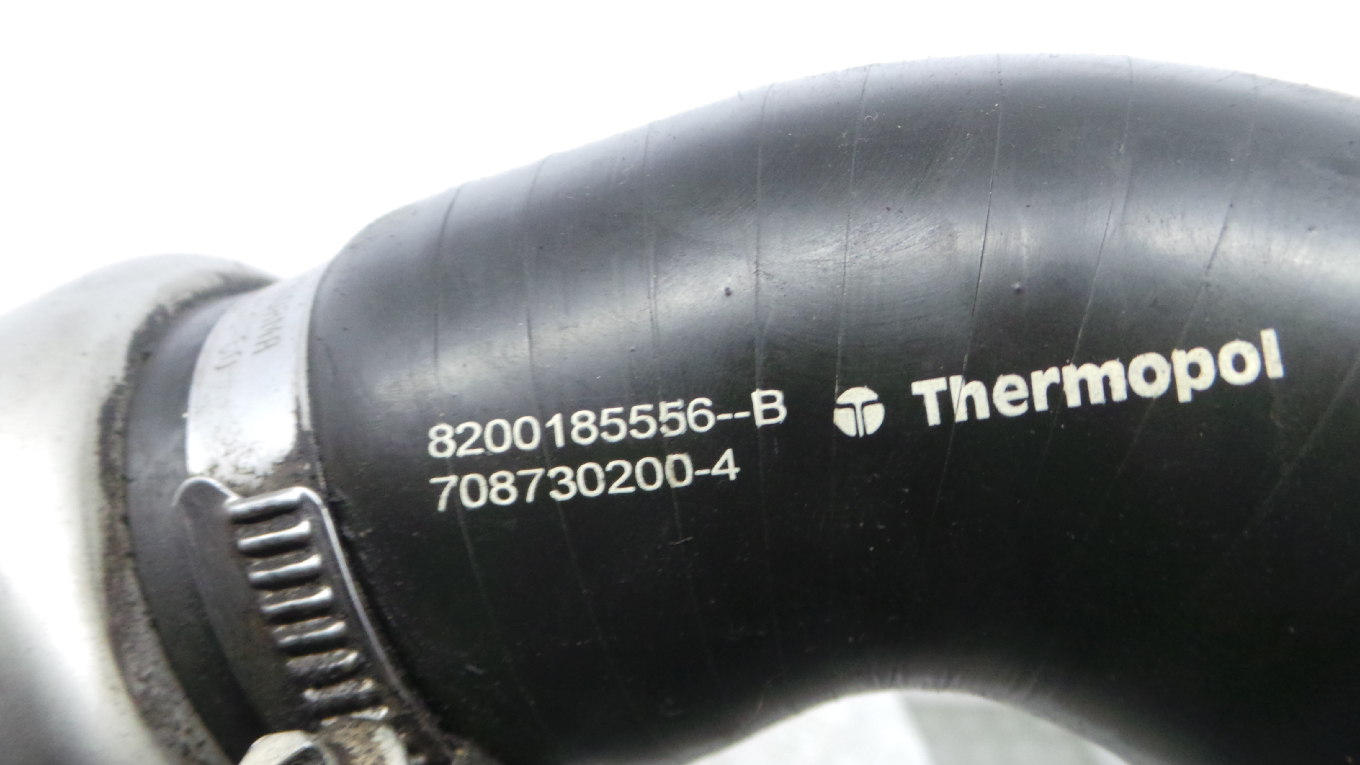 Tubo Intercooler 8200185556A - RENAULT MEGANE II (BM0/1_, CM0/1_)-38295021