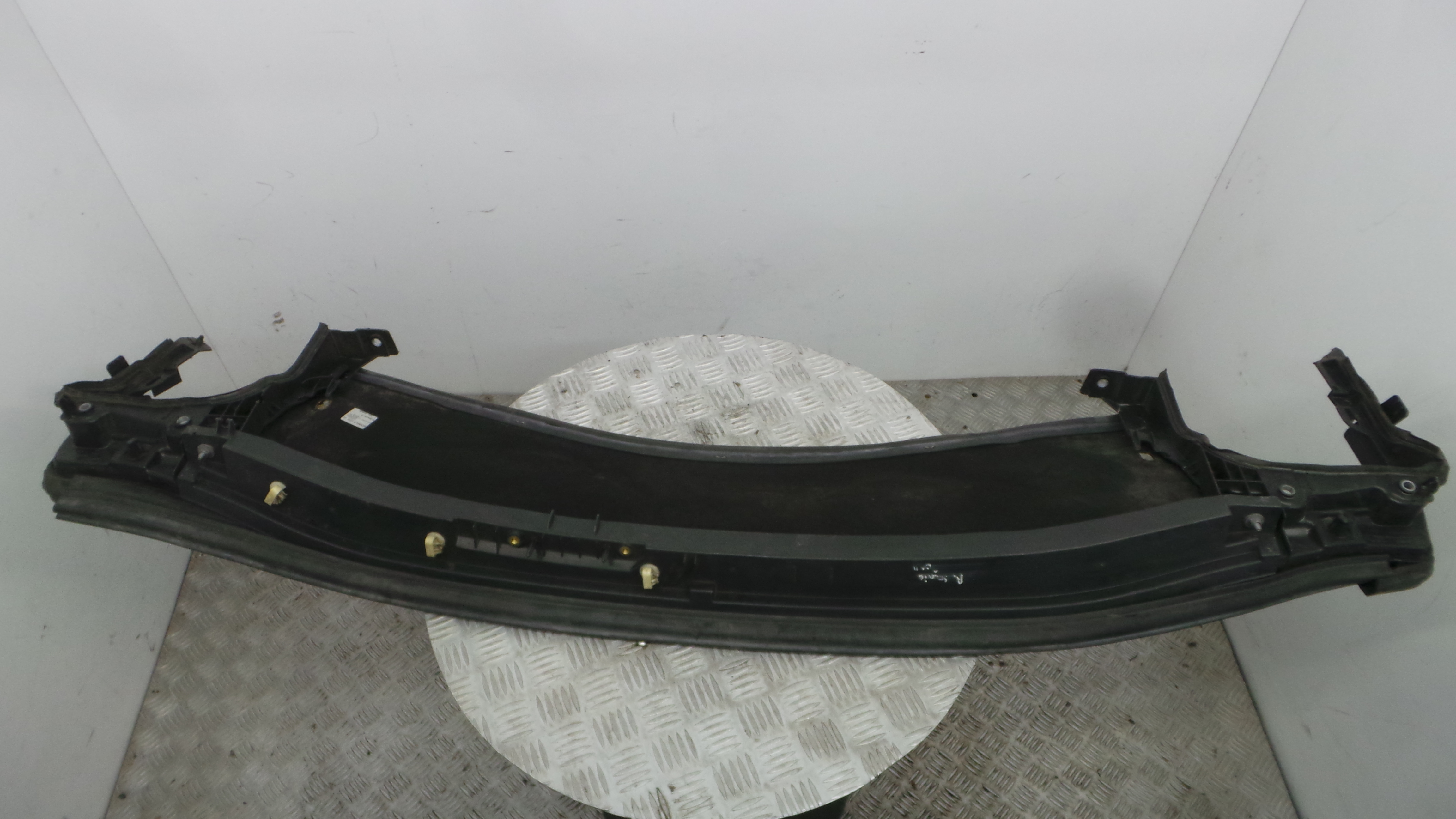 Torpedo 668100006RC - RENAULT SCÉNIC III (JZ0/1_)-38308660