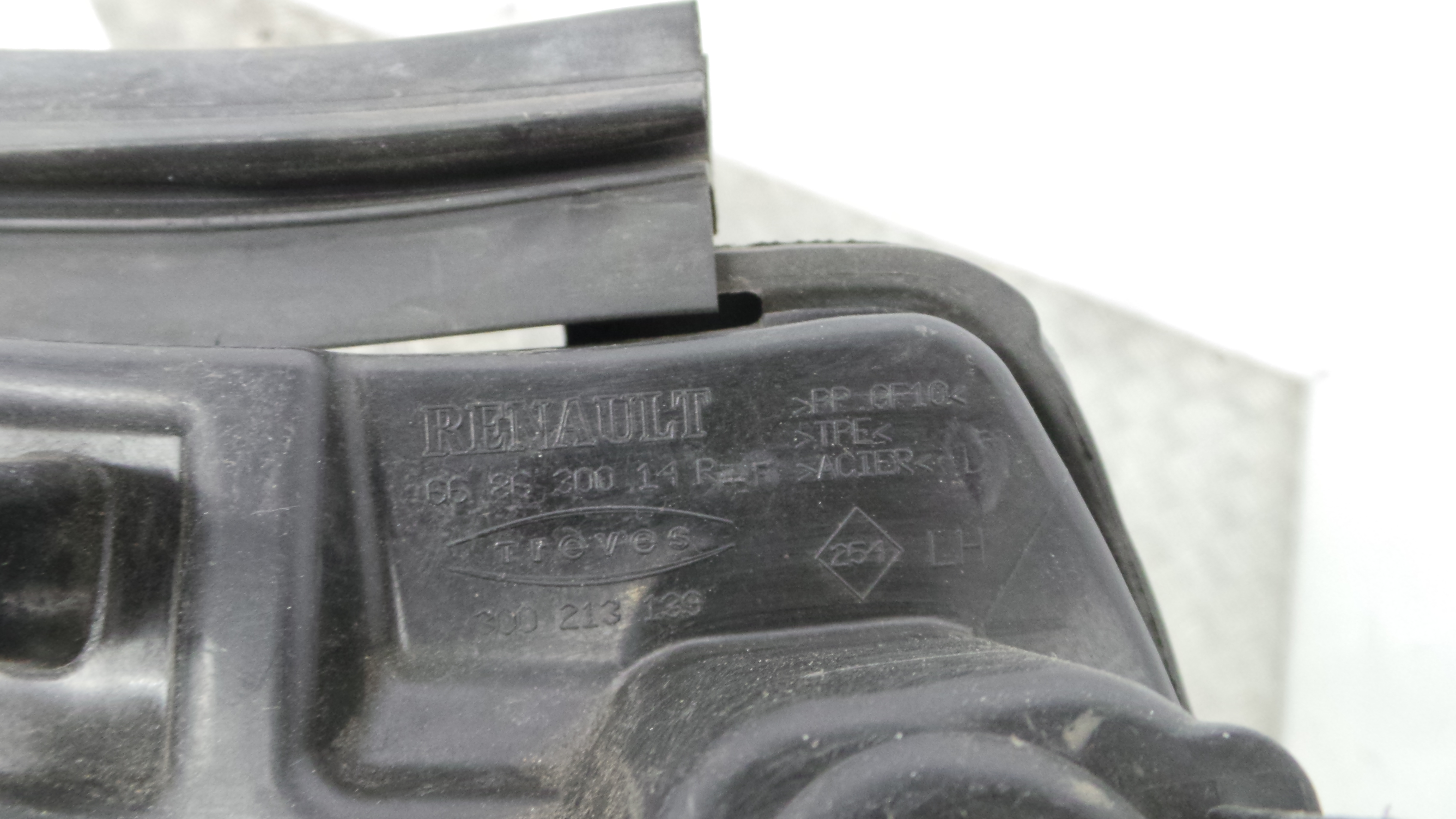 Torpedo 668100006RC - RENAULT SCÉNIC III (JZ0/1_)-38308660