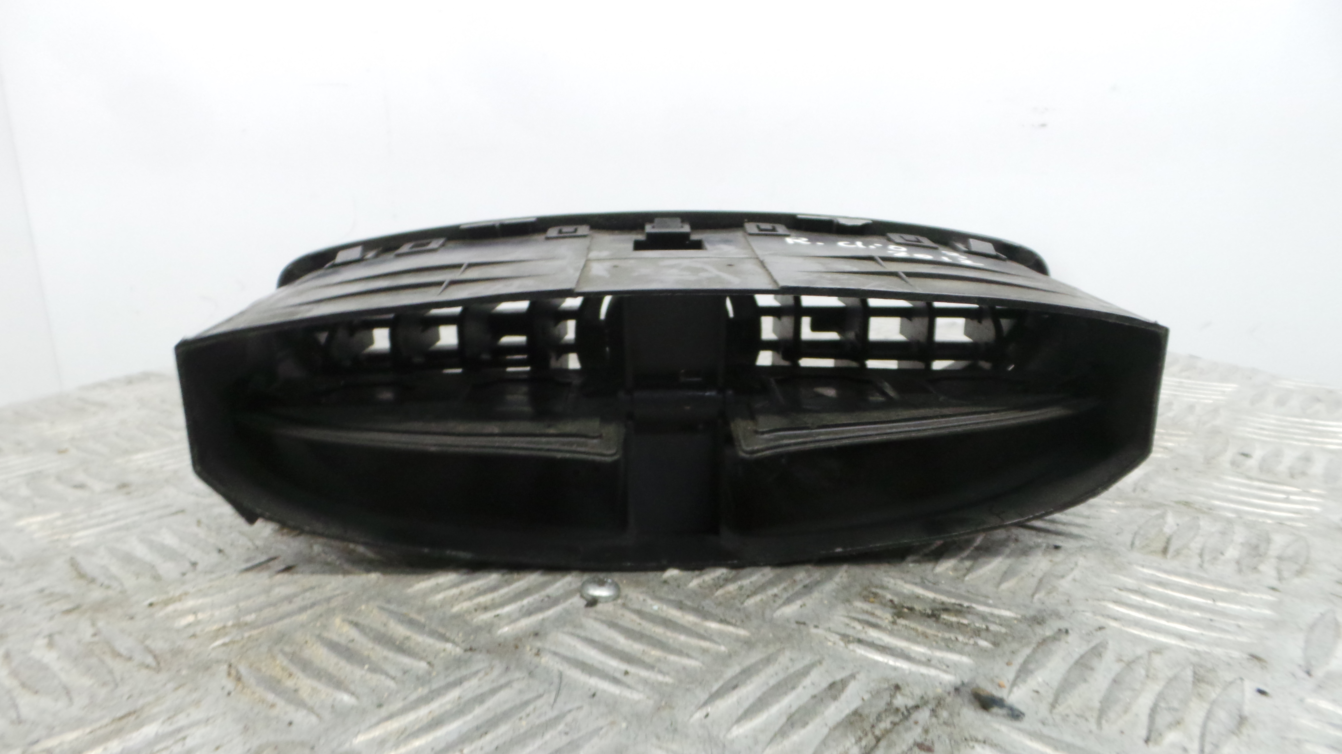 Grelha da Sofagem  220403 - RENAULT CLIO III (BR0/1, CR0/1)-38343792