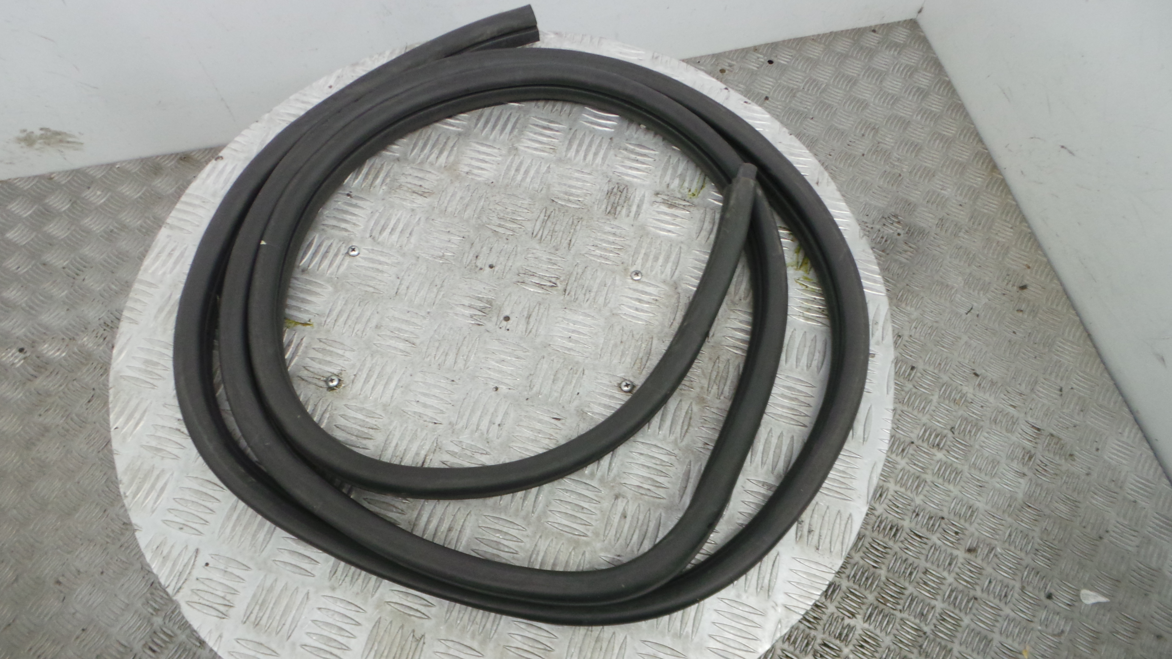 Borracha Porta Direita - RENAULT CLIO II (BB_, CB_), CLIO Mk II (BB_, CB_)-38370280