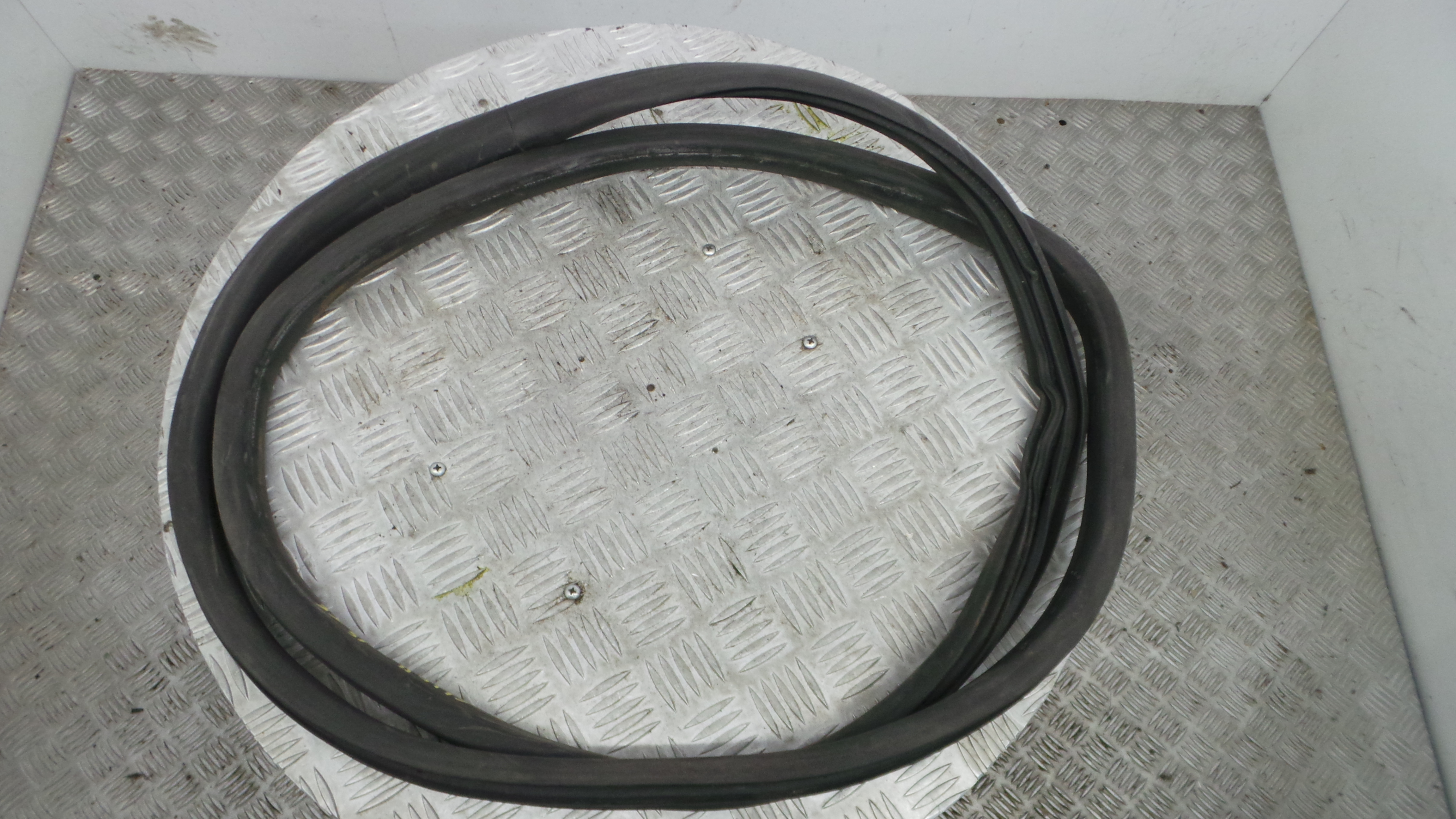 Borracha Porta Tras Esquerda  - RENAULT CLIO IV (BH_)-38370354