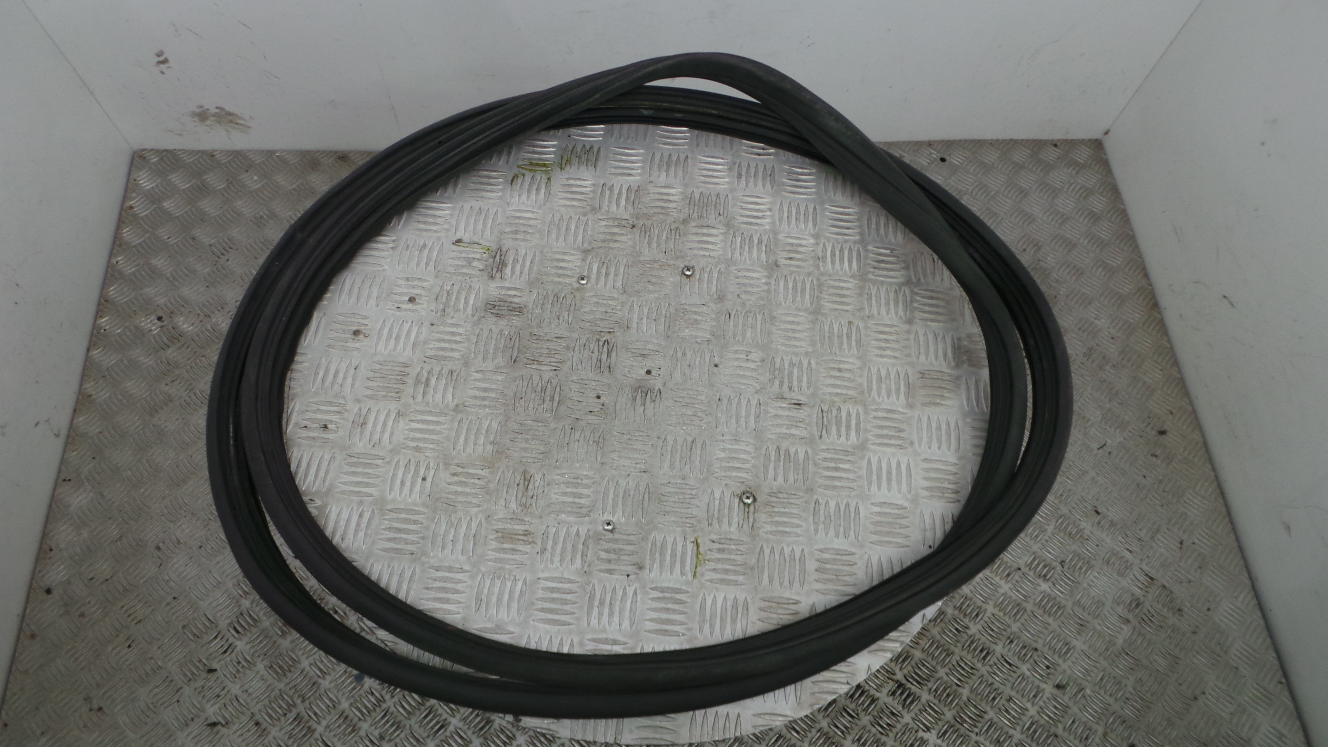 Borracha Porta Direita  - RENAULT CLIO III (BR0/1, CR0/1)-38370367