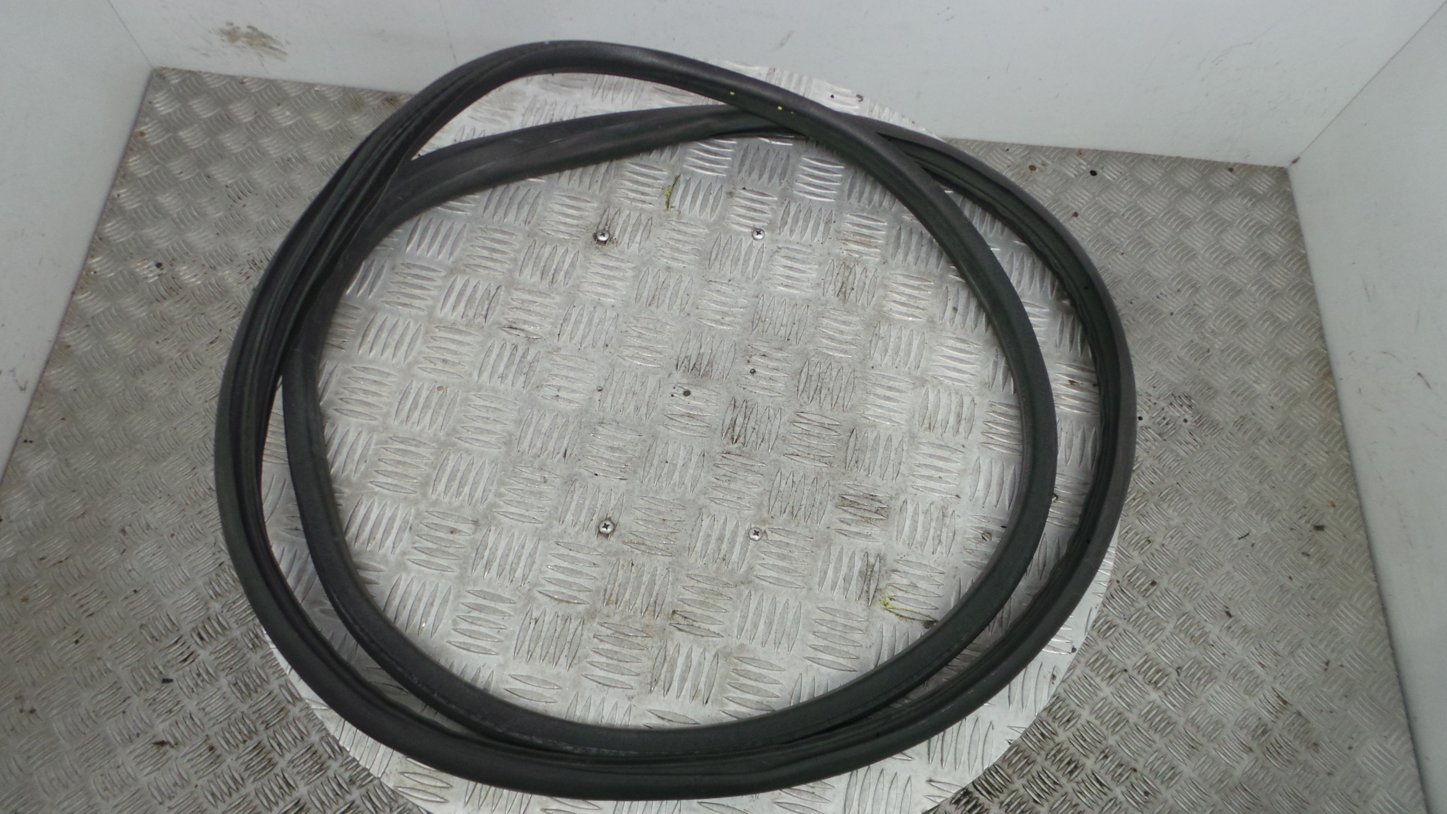 Borracha Porta Tras Esquerda  - RENAULT MEGANE III Hatchback (BZ0/1_, B3_)-38370375