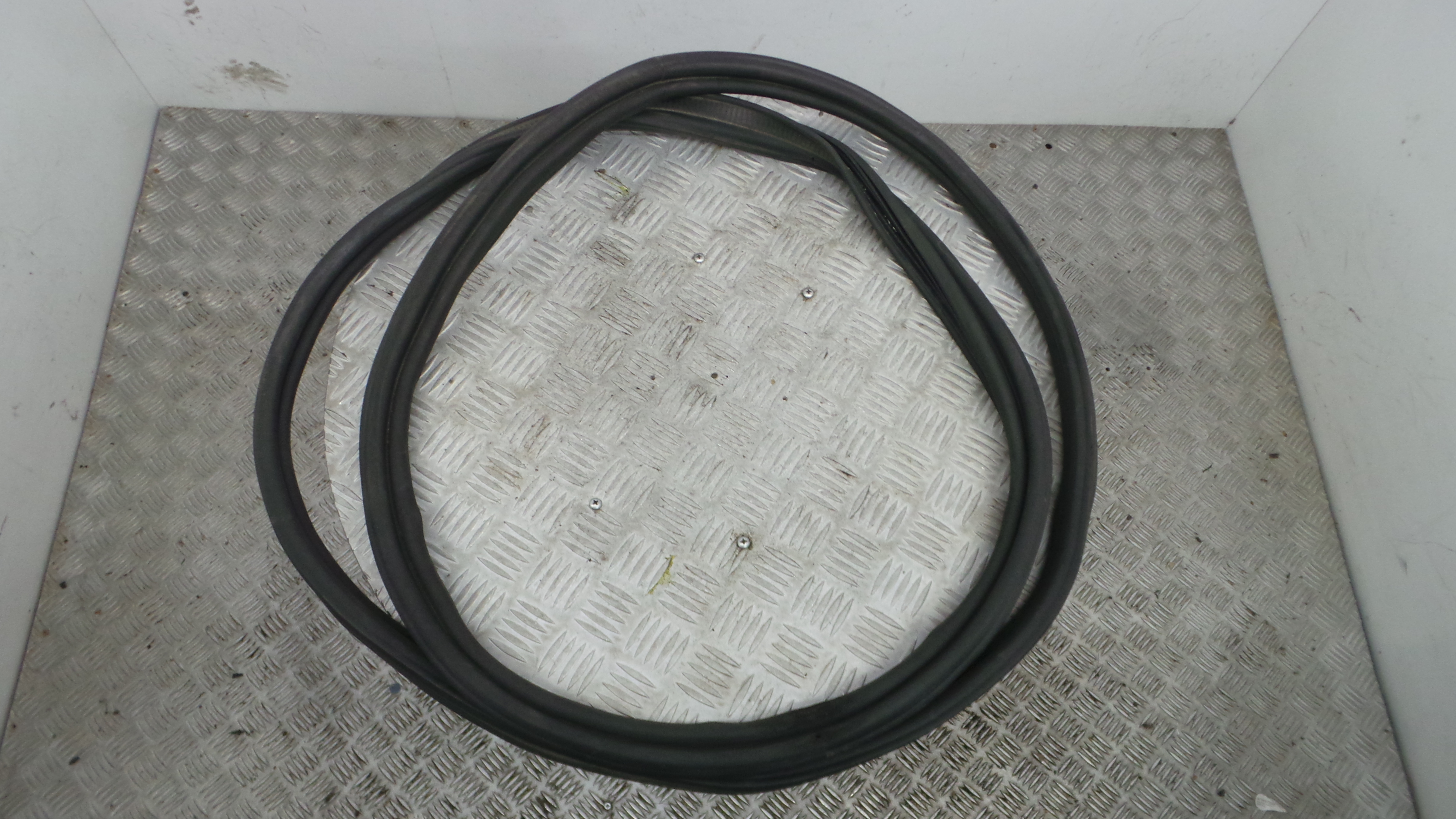 Borracha Mala - RENAULT MEGANE III Hatchback (BZ0/1_, B3_)-38370379