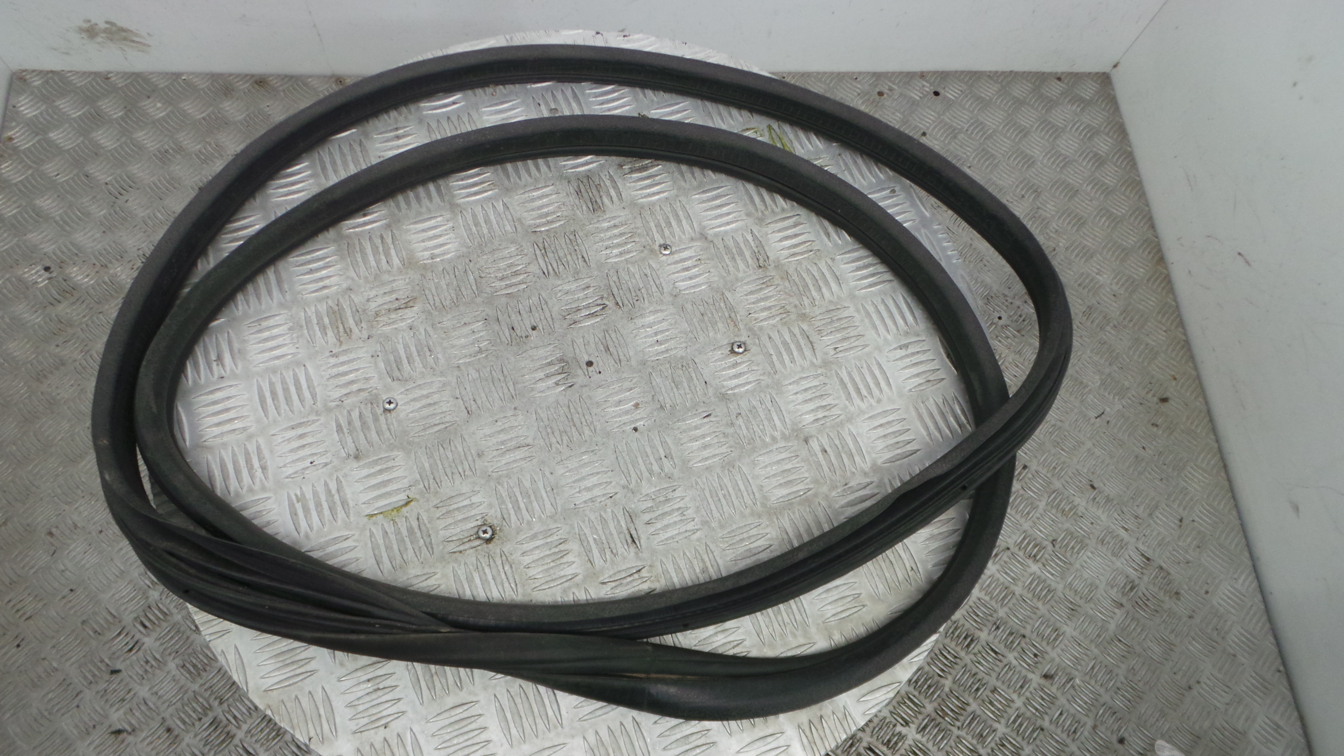 Borracha Porta Tras Direita  - RENAULT CLIO III (BR0/1, CR0/1)-38370386