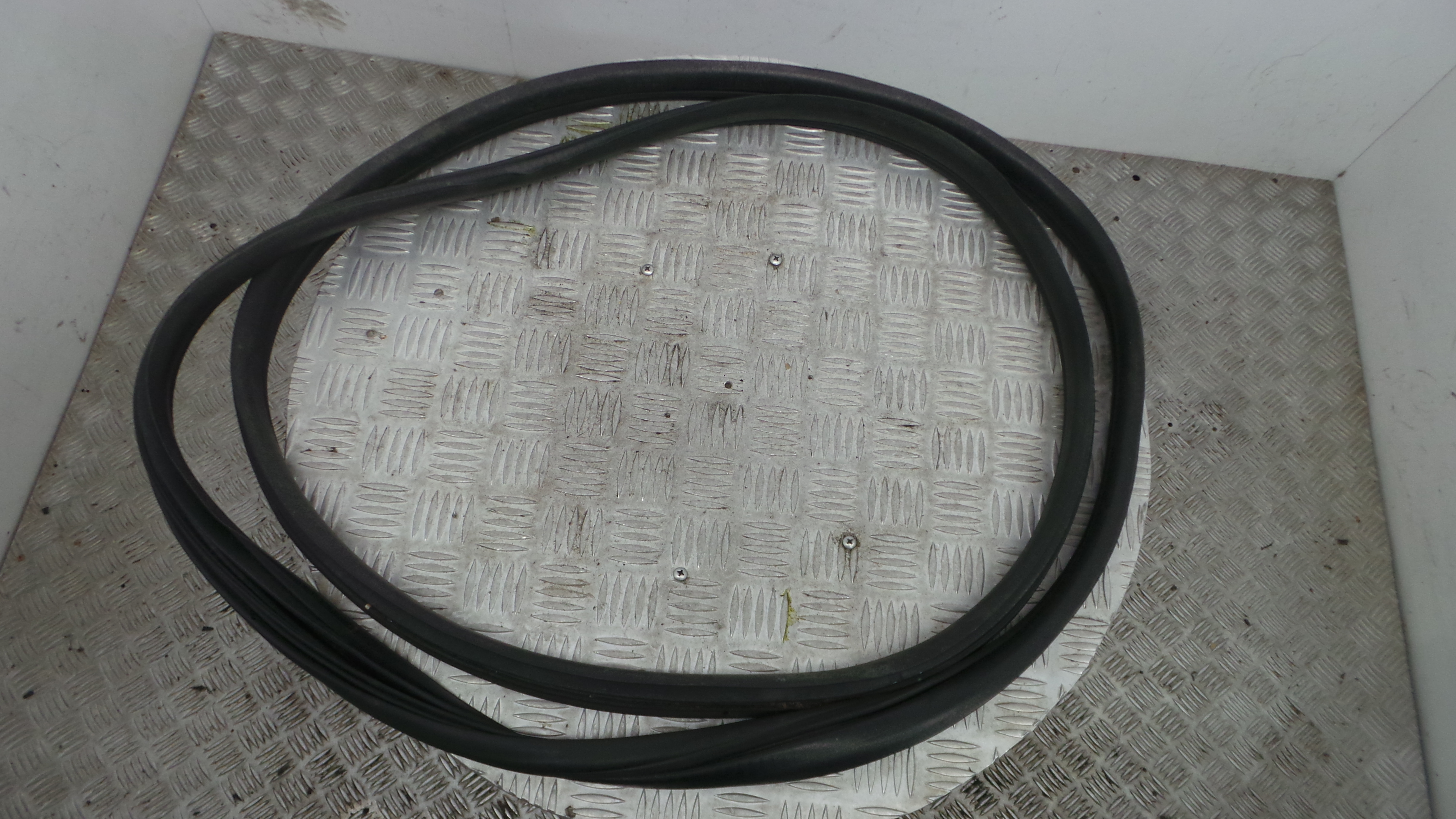 Borracha Porta Frente Esquerda  - RENAULT CLIO III (BR0/1, CR0/1)-38370390