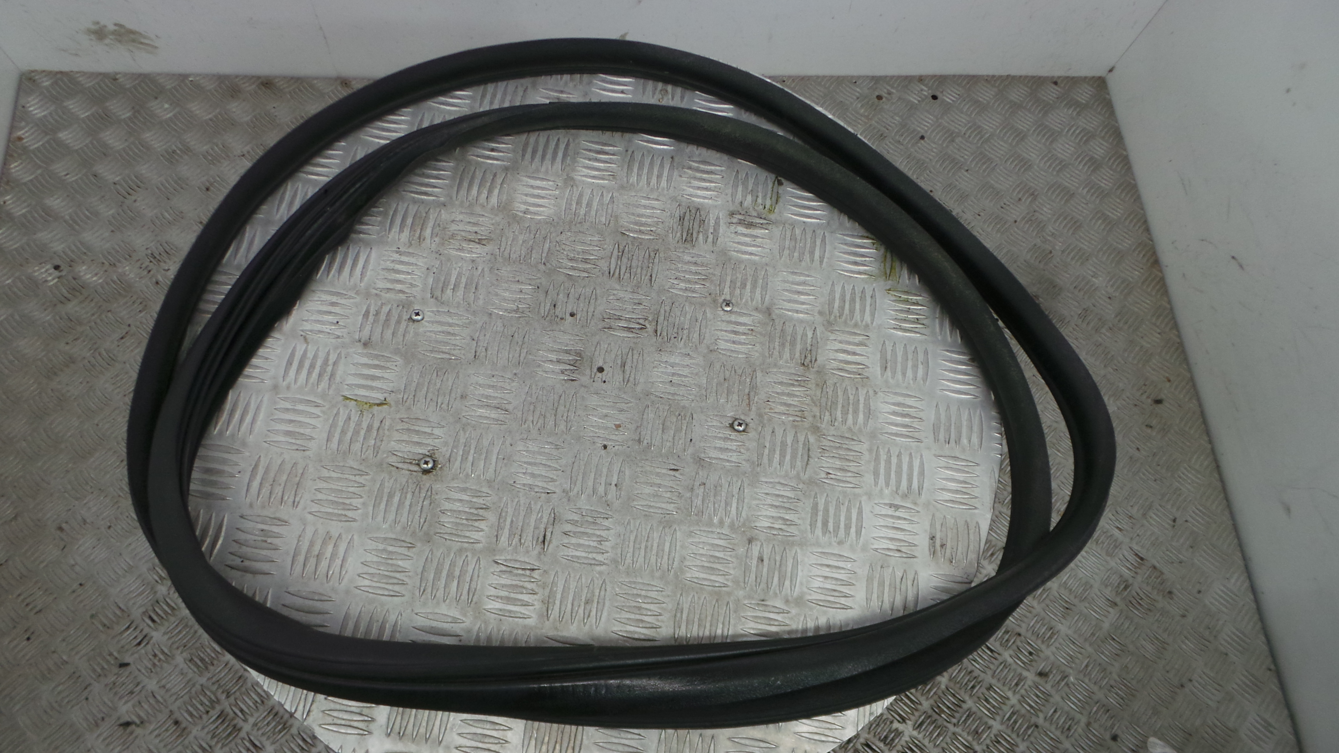 Borracha Porta Frente Direita  - RENAULT CLIO III (BR0/1, CR0/1)-38370392