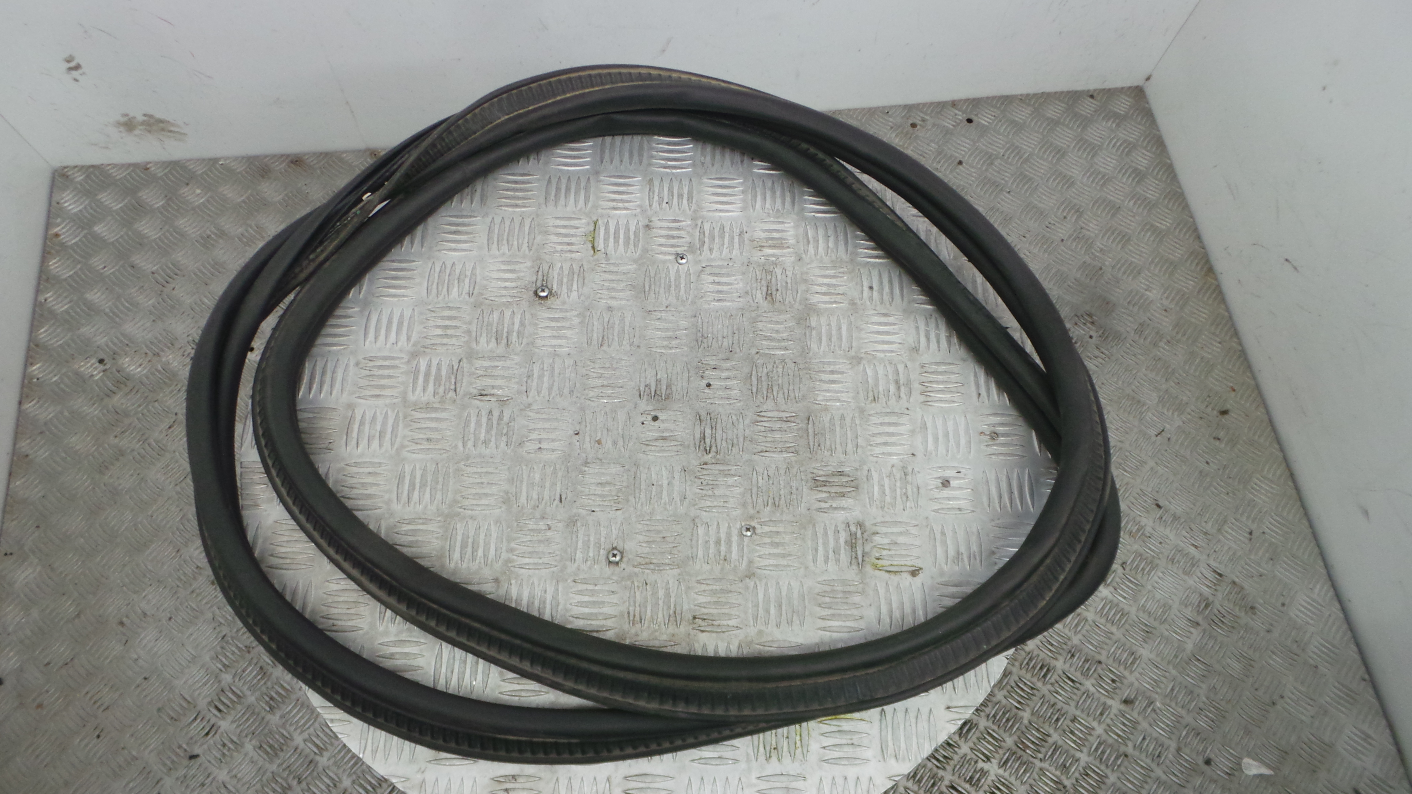 Borracha Mala  - RENAULT CLIO III (BR0/1, CR0/1)-38370394