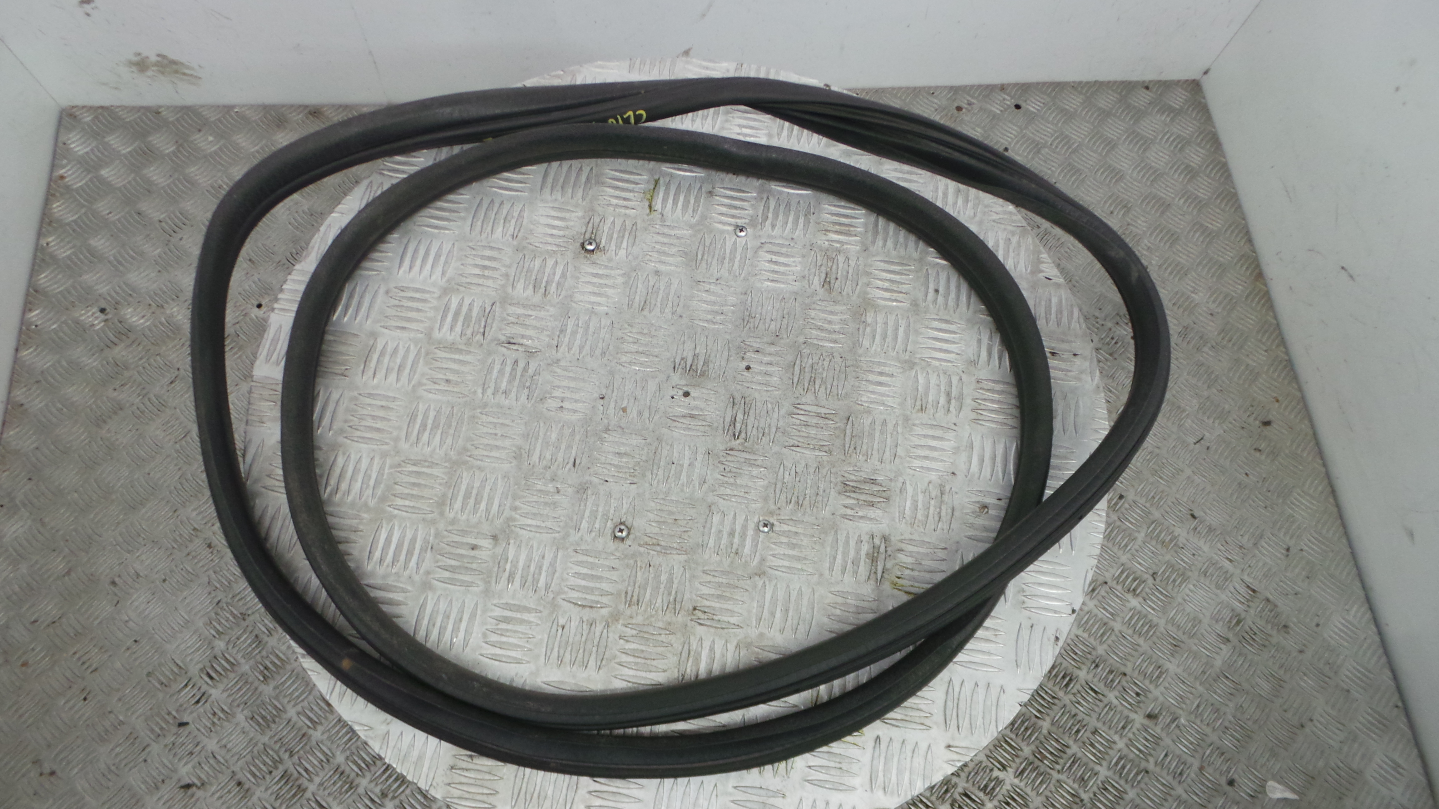 Borracha Porta Tras Esquerda  - RENAULT CLIO III (BR0/1, CR0/1)-38370396