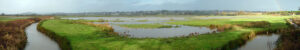 pulborough-brooks-1200x200