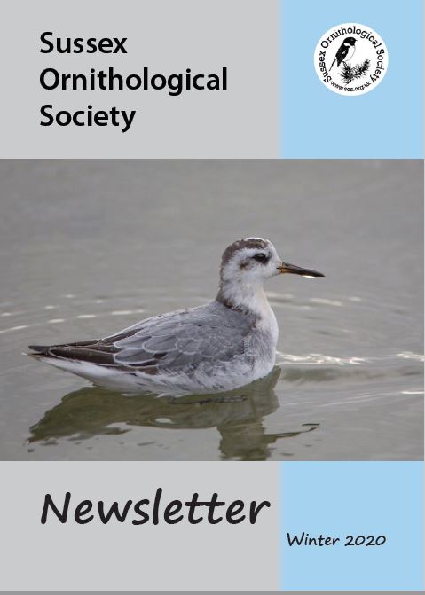 Publications - 2