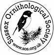 Swift conservation in Sussex in 2020 -