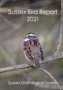 Sussex Bird Report 2021 - just published -