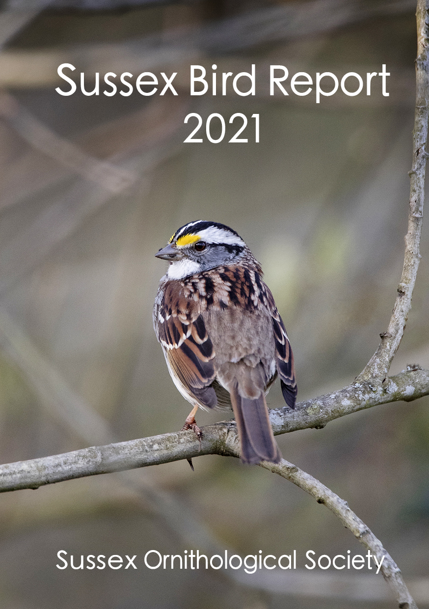 2021 (74)