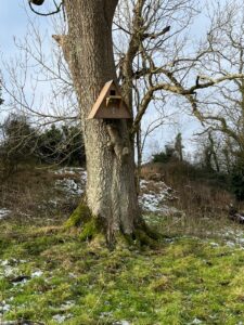 Sussex Barn Owl Group - January update -